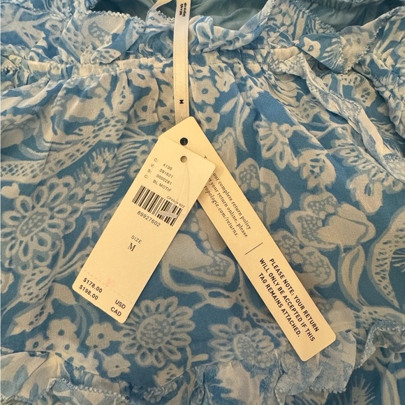 Anthropologie Light Blue & White Sheer Floral Ruffle Mini Dress - Picture 8 of 9